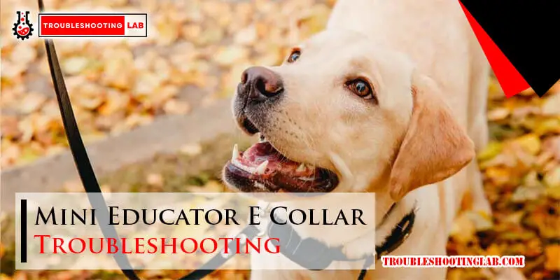 Mini Educator E Collar Troubleshooting-Fi