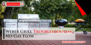 Weber Grill Troubleshooting No Gas Flow-Fi