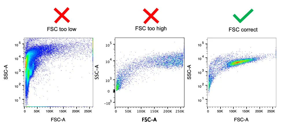 Flow Cytometry Troubleshooting