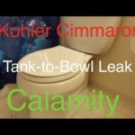 Kohler Cimarron Toilet Troubleshooting