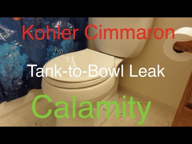 Kohler Cimarron Toilet Troubleshooting