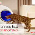 Hillpig Litter Box Troubleshooting-Fi