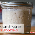 Sourdough Starter Troubleshooting-Fi