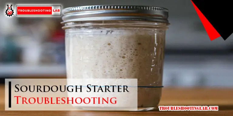 Sourdough Starter Troubleshooting-Fi