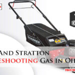 Briggs And Stratton Troubleshooting Gas in Oil-Fi