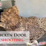 Run-Chicken Door Troubleshooting-Fi