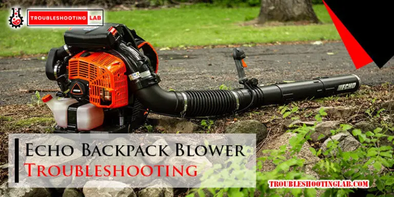 Echo Backpack Blower Troubleshooting-Fi