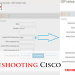Ospf Troubleshooting Cisco-Fi