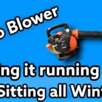 Echo Backpack Blower Troubleshooting