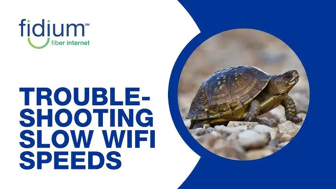 Fidium Troubleshooting