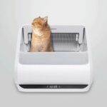 Popur Litter Box Troubleshooting