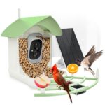 Smart Ai Recognition Bird Feeder Troubleshooting