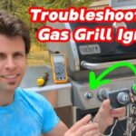 Weber Troubleshooting