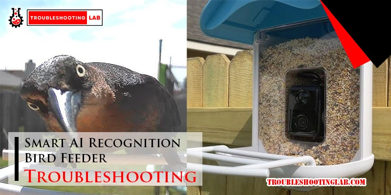 Smart-AI-Recognition-Bird-Feeder-Troubleshooting-FI