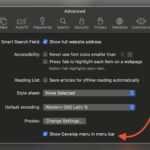 Safari Troubleshooting