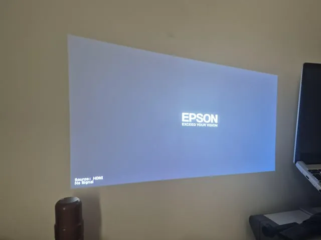 Inspecting video cables for physical damage causing a projector no signal problem.