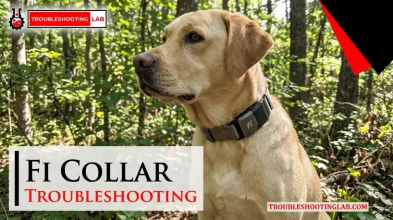 Fi Collar Troubleshooting